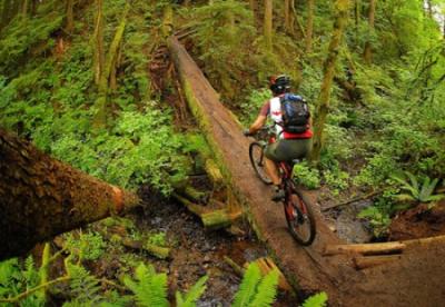 all mountain o enduro